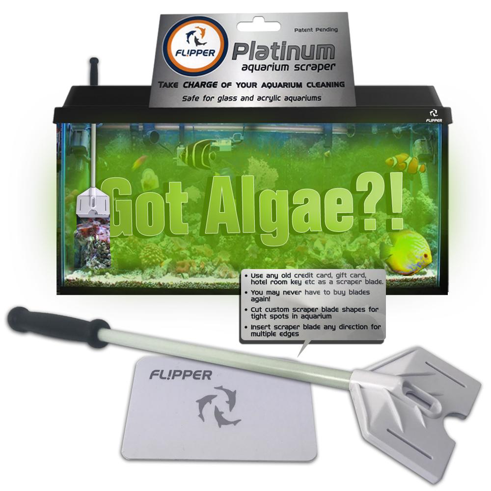 Flipper Platinum Scraper czyścik na karty 45cm