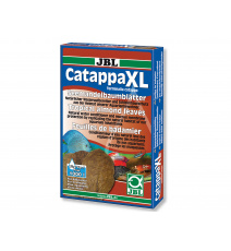JBL Catappa XL - 10 sztuk liścia Ketapang Migdałecznik