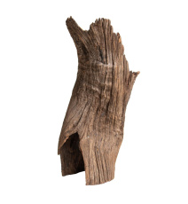ProGrow Old Trunk Wood 30-60cm 1kg