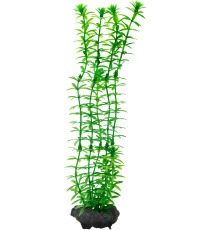 Tetra Decoart Plant L Anacharis Roślina sztuczna