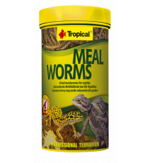 Tropical MEAL WORMS 250ML